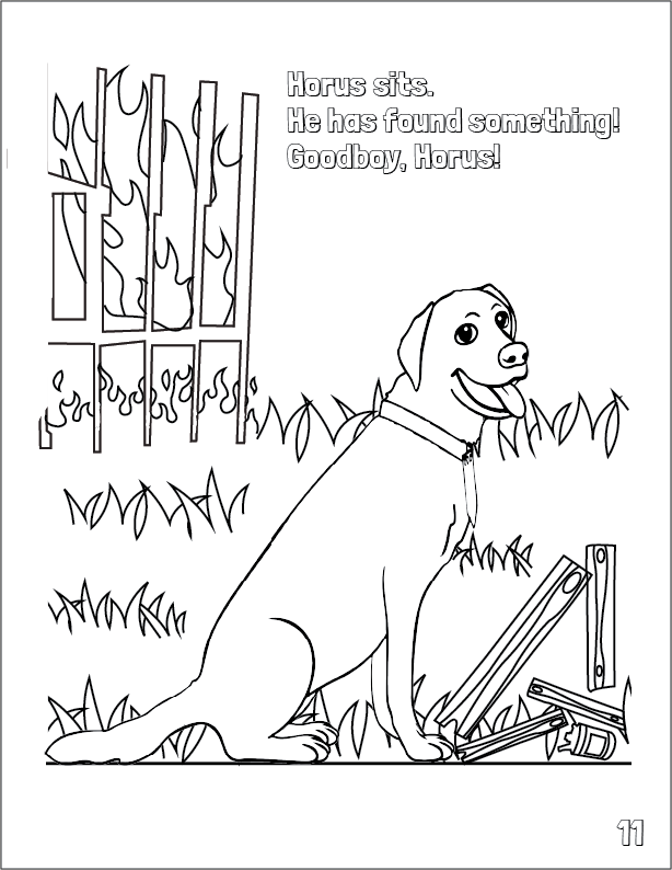 Coloring book page